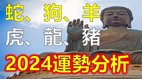 十二生肖豬|十二生肖運勢解析｜12生肖全面性格分